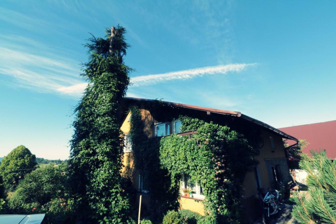 Agroturystyka Tyniok Koniakow Exterior photo